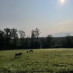 Le Daguet