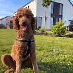 Casa vacanze Le Daguet *