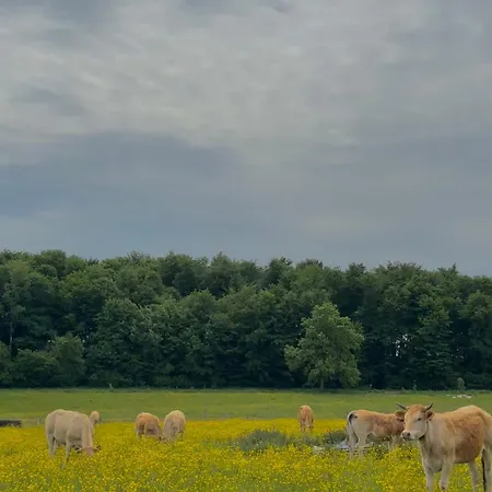 Le Daguet * 플로렌빌