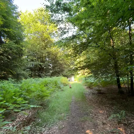 Le Daguet 플로렌빌