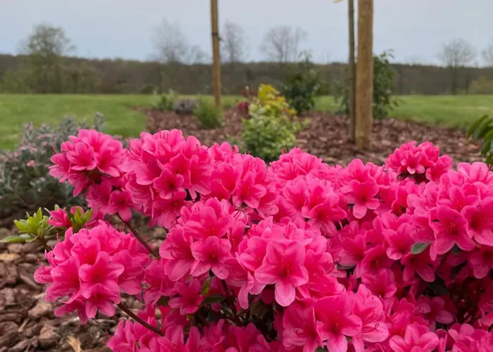 Hébergement de vacances Le Daguet *