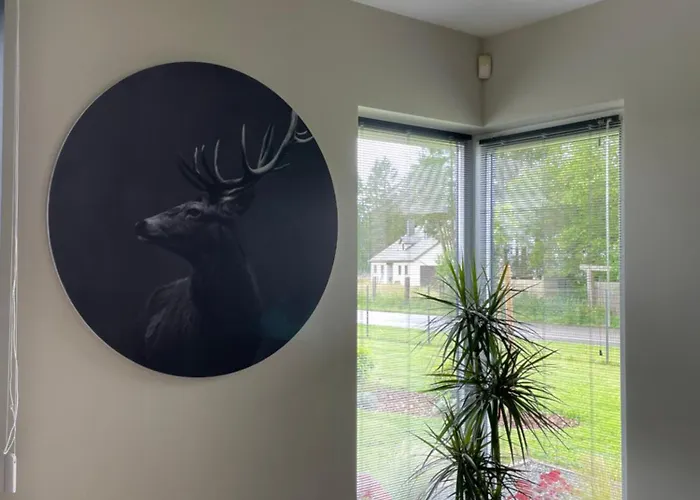 Le Daguet * Florenville