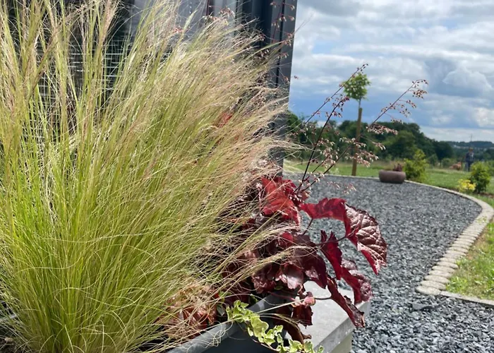 Hébergement de vacances Le Daguet *