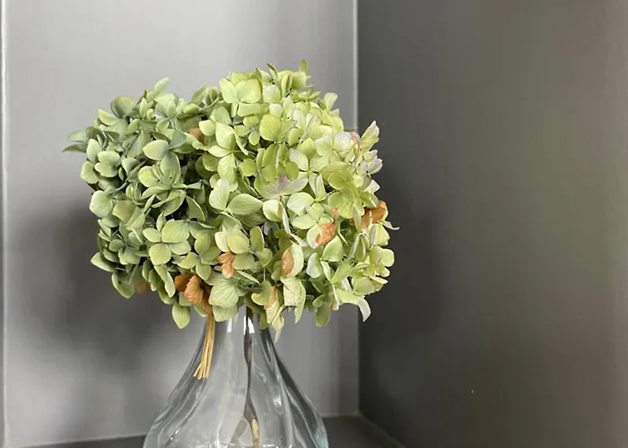 Le Daguet Hébergement de vacances *