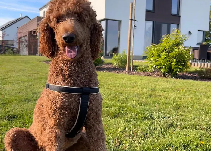 Hébergement de vacances Le Daguet *