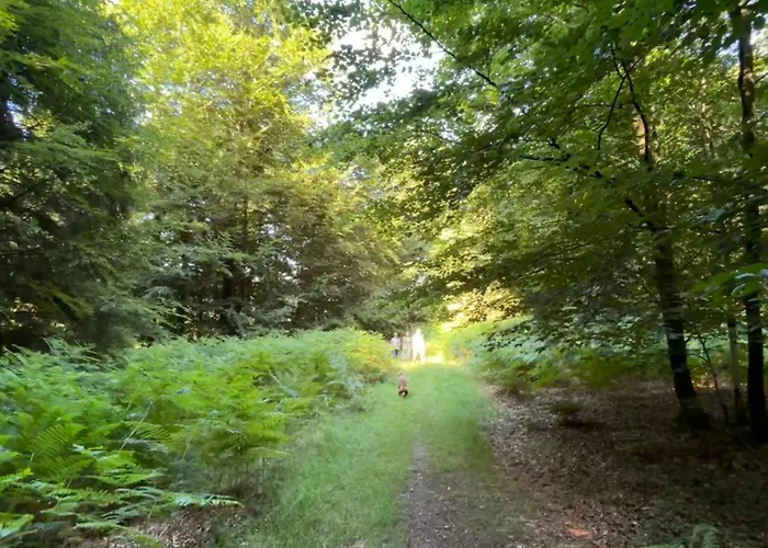 Le Daguet Florenville